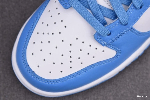 University Dunk Low Blue Nike DD1391-102 0719